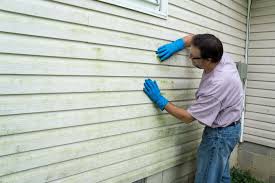 Best Vinyl Siding Installation  in Hyde Rk, PA